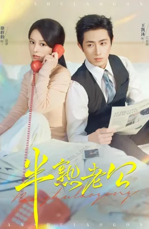 Дорама Муж на половину онлайн